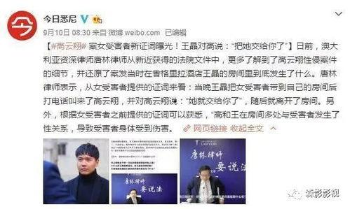 柳市新闻热线爆料案件,惊曝某重大案件，案情扑朔迷离！